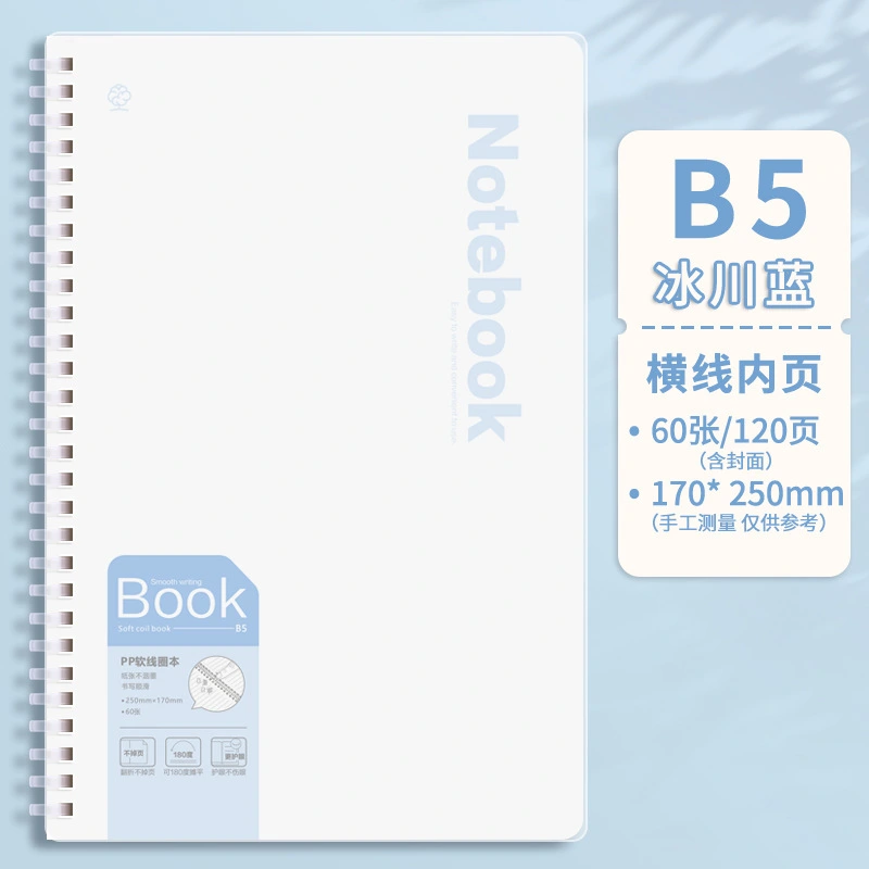 Student school notebook additional view